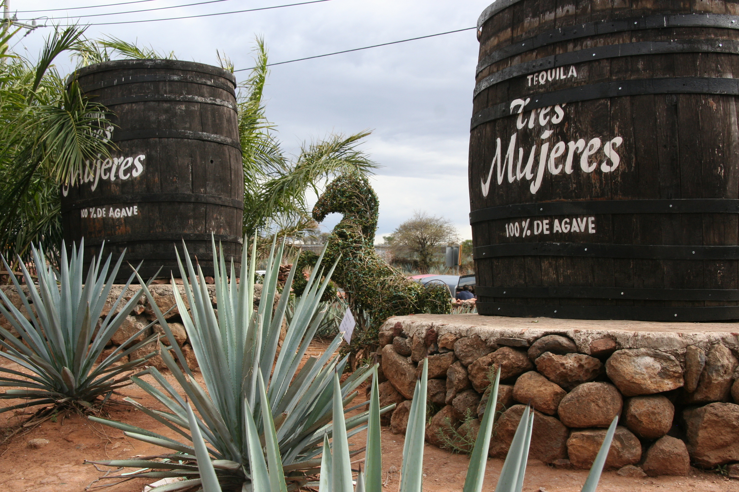 Tequila, Jalisco