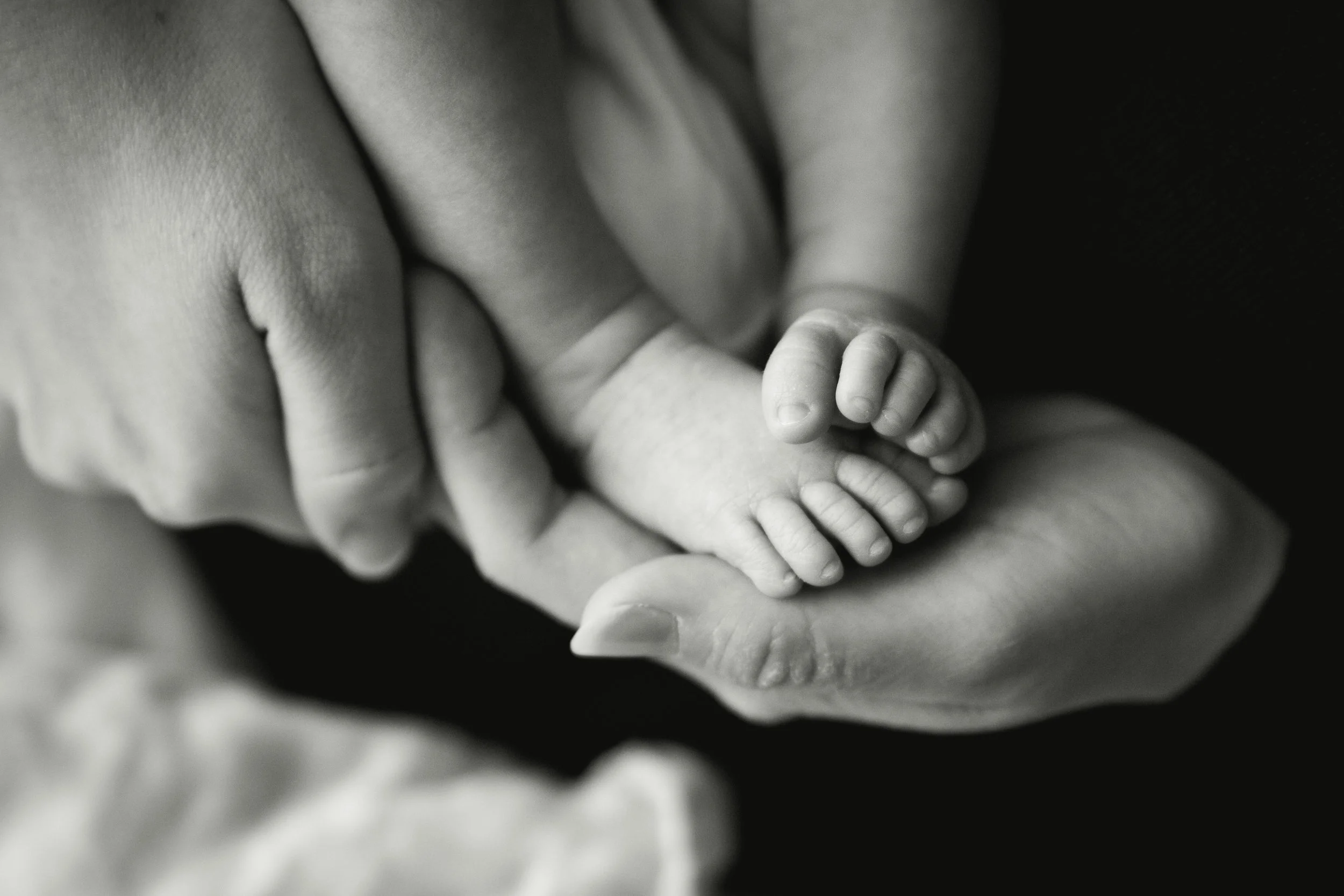 SKnewborn16IMG_1007-2.jpg