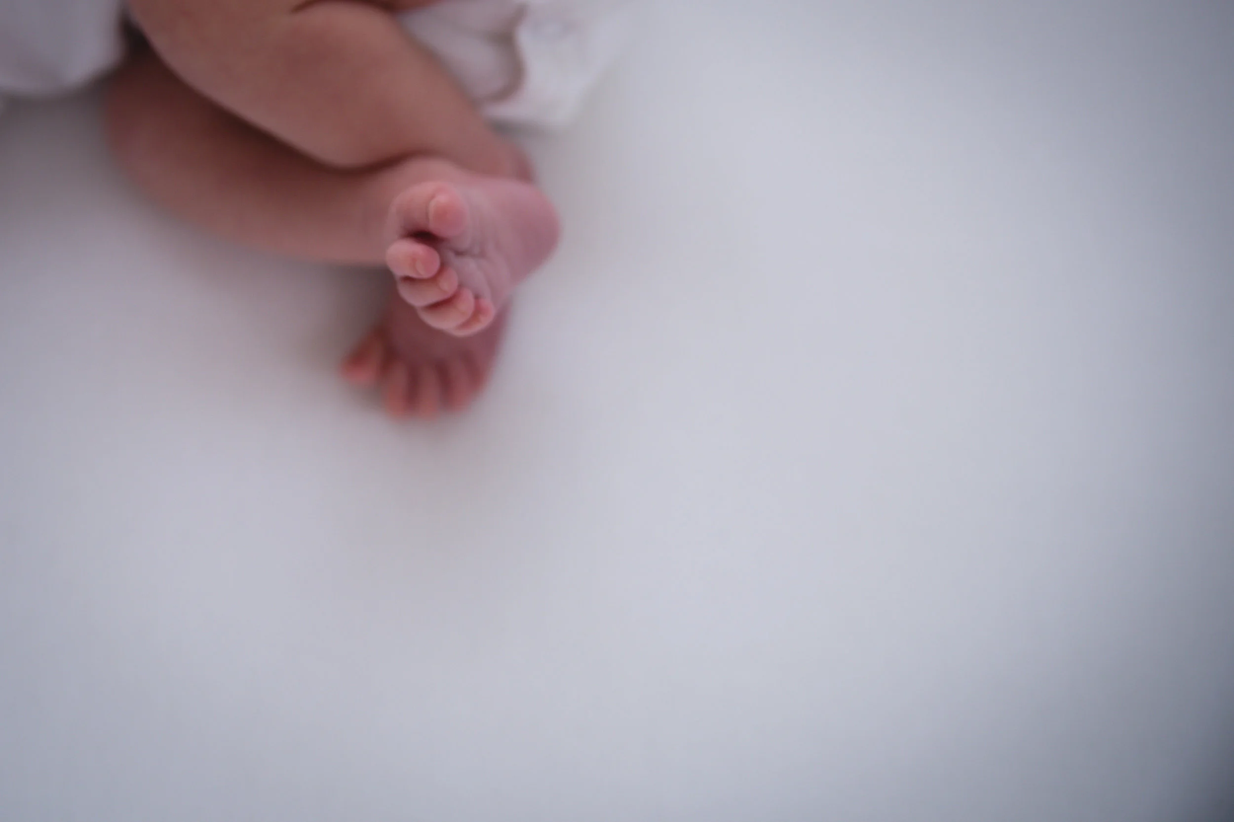 SKnewborn16IMG_0973-2.jpg