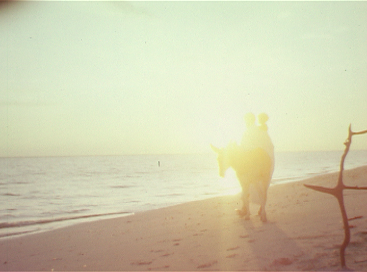 ALL MAGIC SANDS/CHAPPAQUA