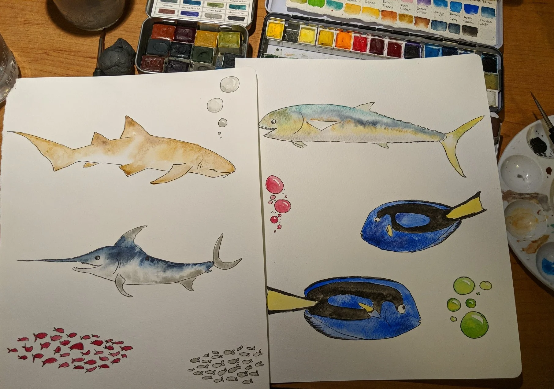 Illustrated video for NPS: Today I’m in the studio for the National Park Service filming another public service announcement about how to fish smart and be healthy. You can watch the other finished PSA’s here.