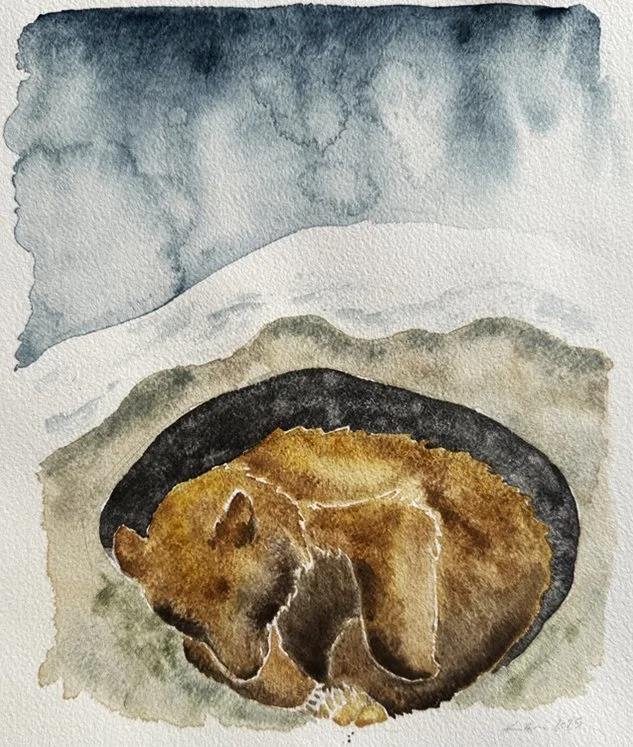 Warm Wishes for a Restful Season