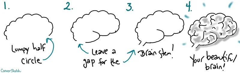 4 steps to draw a brain. black and teal words and numbers on a white background show a hand drawn learn to draw brain