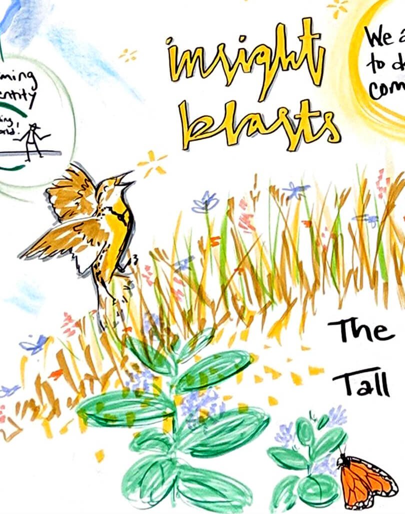 Drawing of meadowlark and meadow with words insight blasts written in yellow cursive.