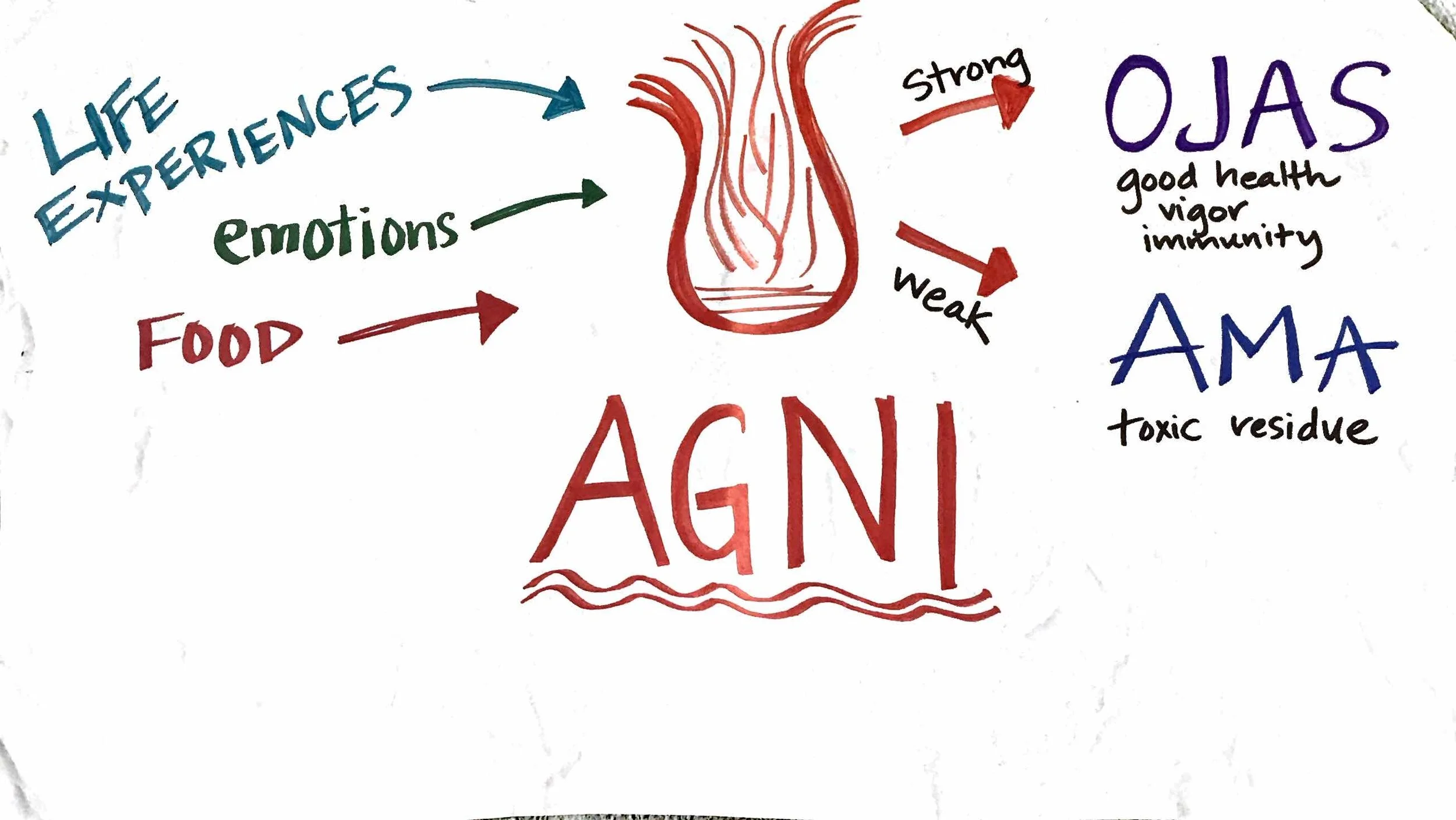 Agni (Copy)