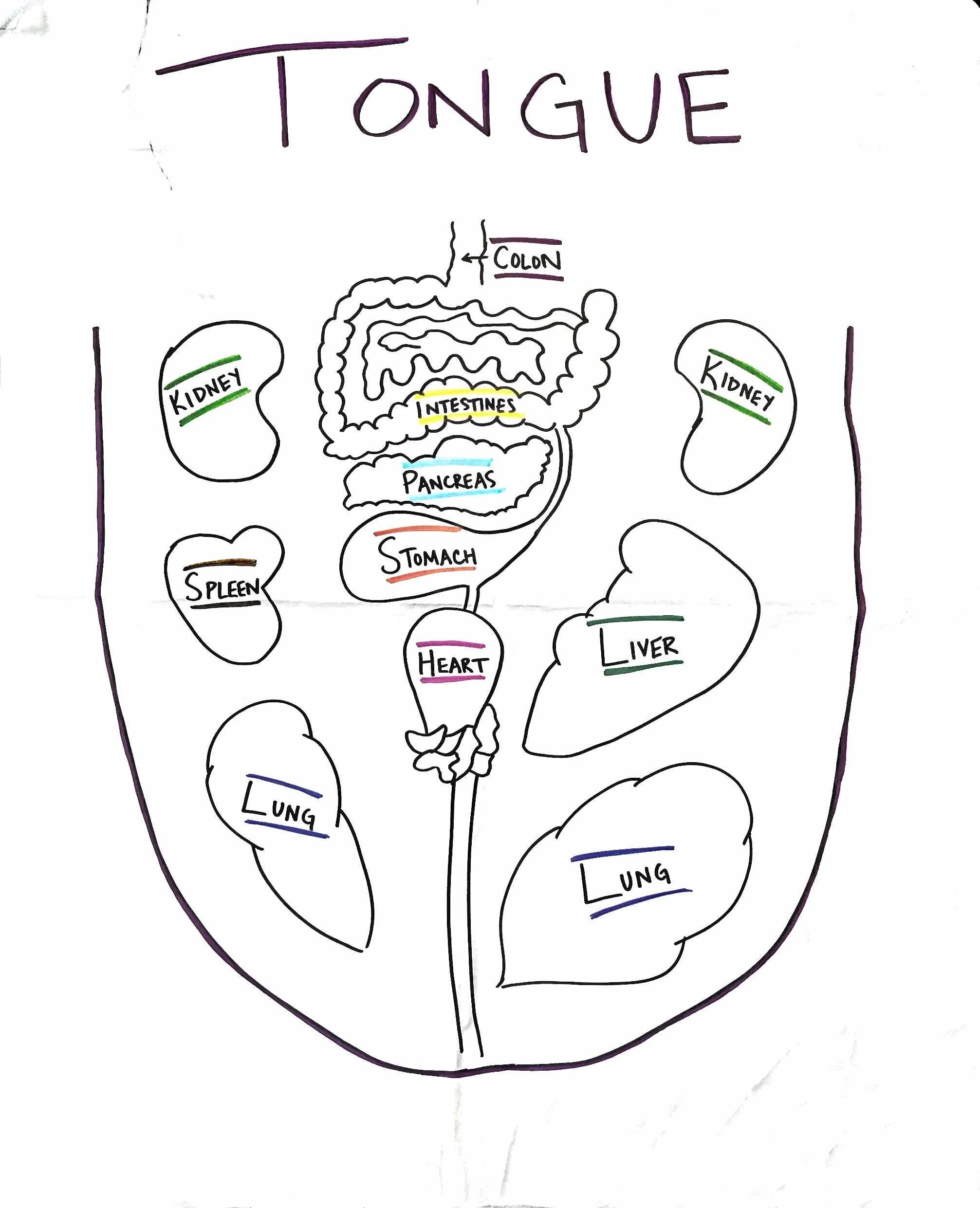 Tongue (Copy)