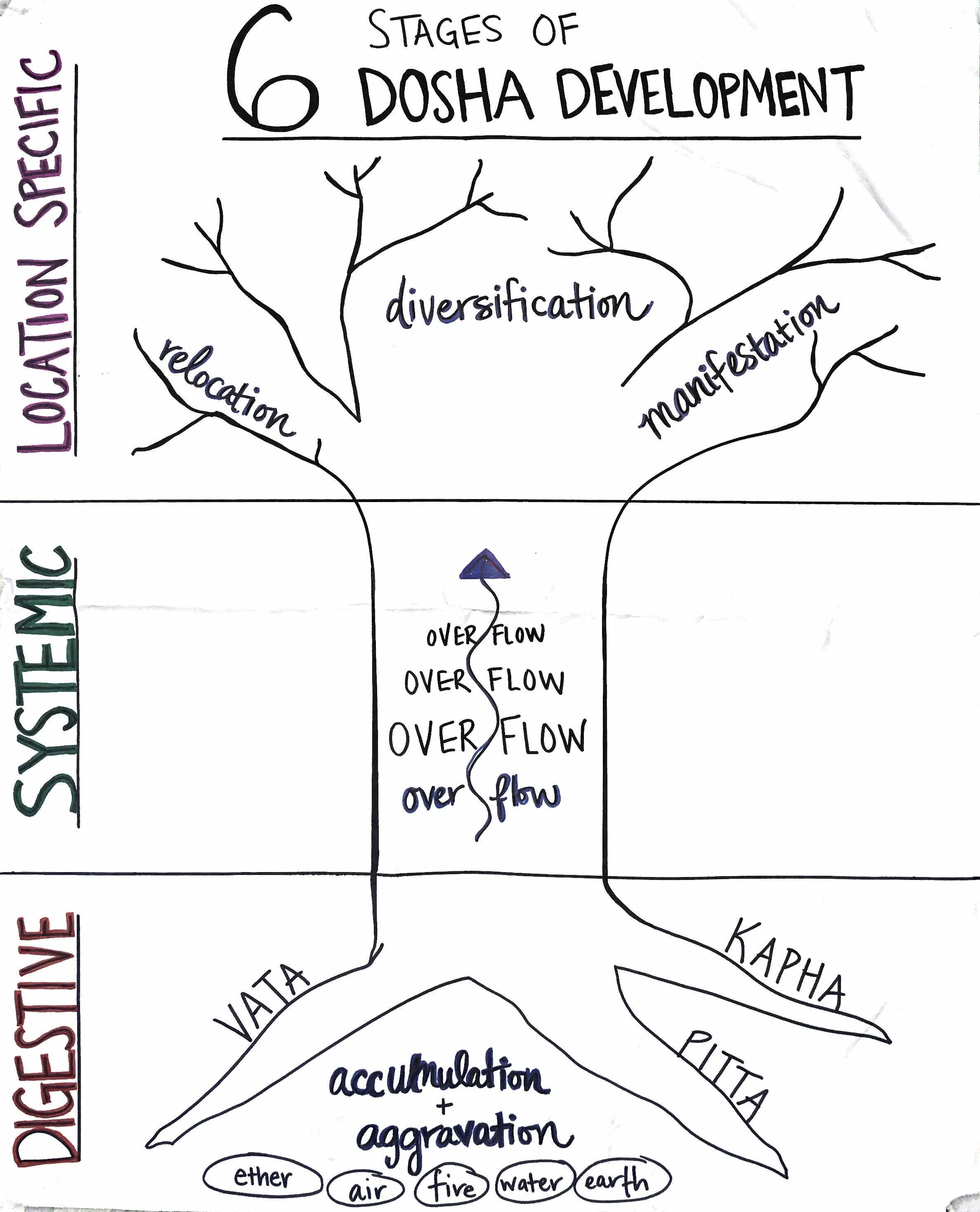 Dosha Development (Copy)