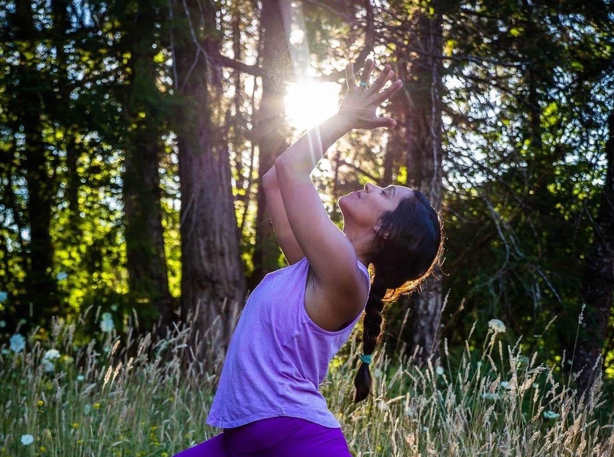 Ayurvedic Wellness: A Seasonal Immersion