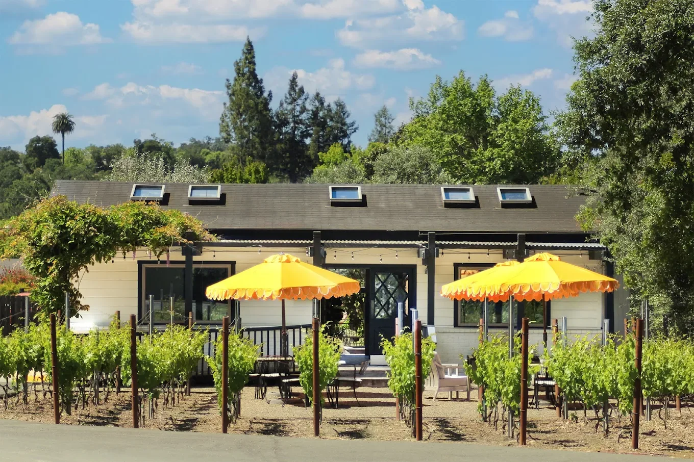 Valley of the Moon Music Festival @ Hamilton Family Wines