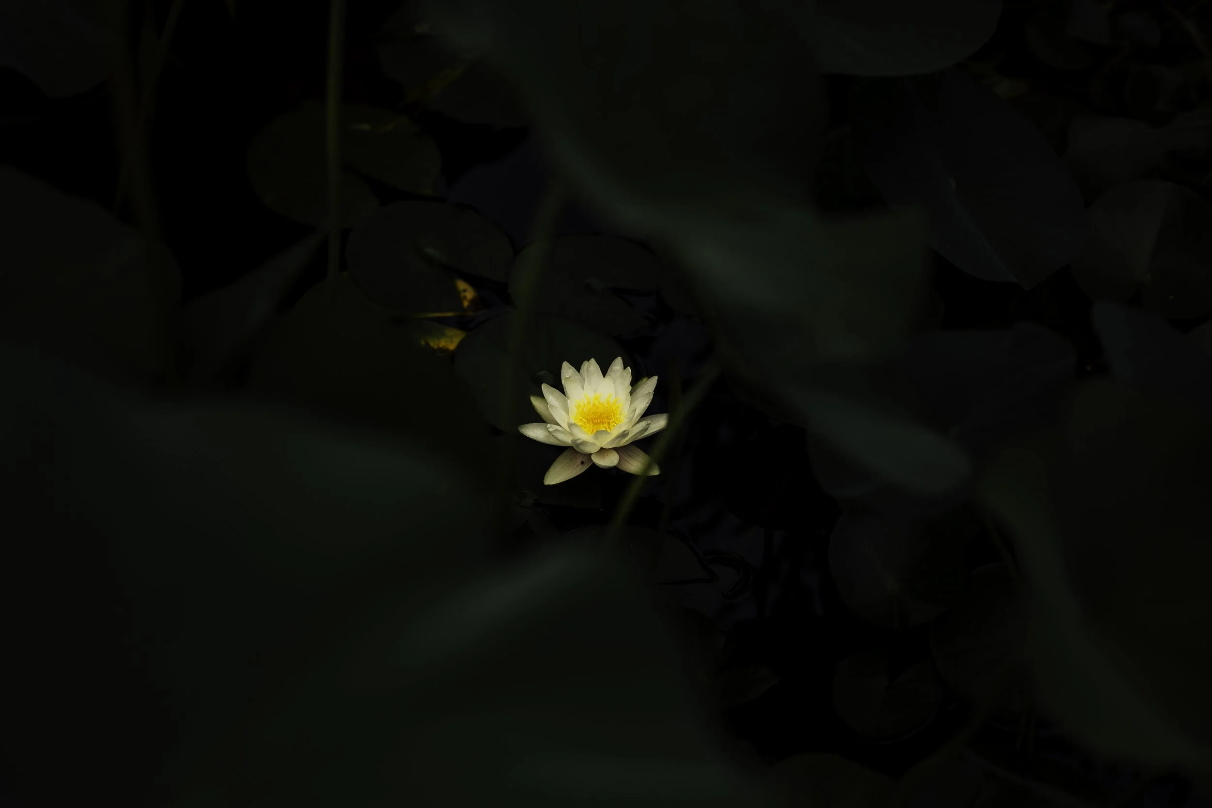 awpottery-16.jpg