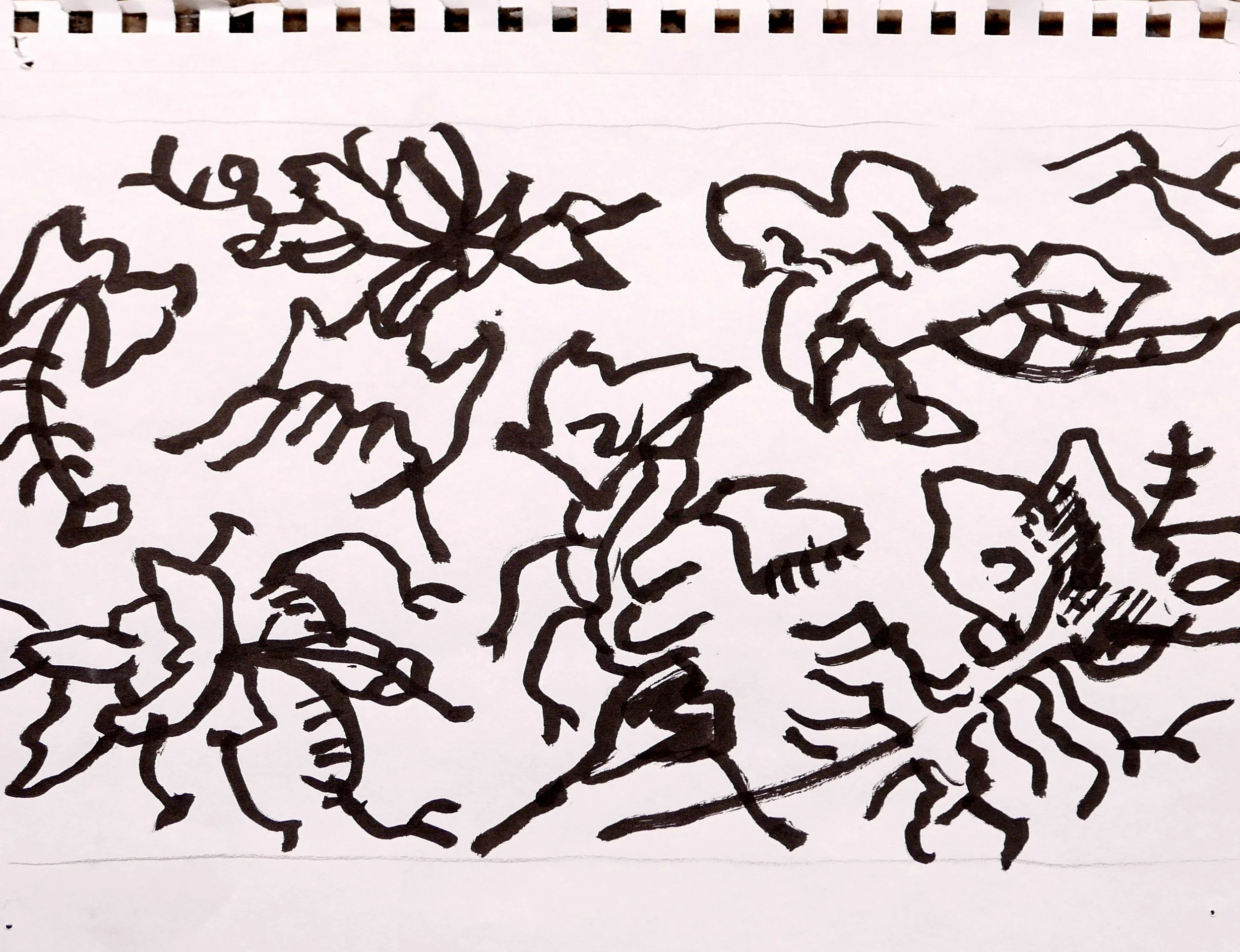 P1170015 (1).jpeg