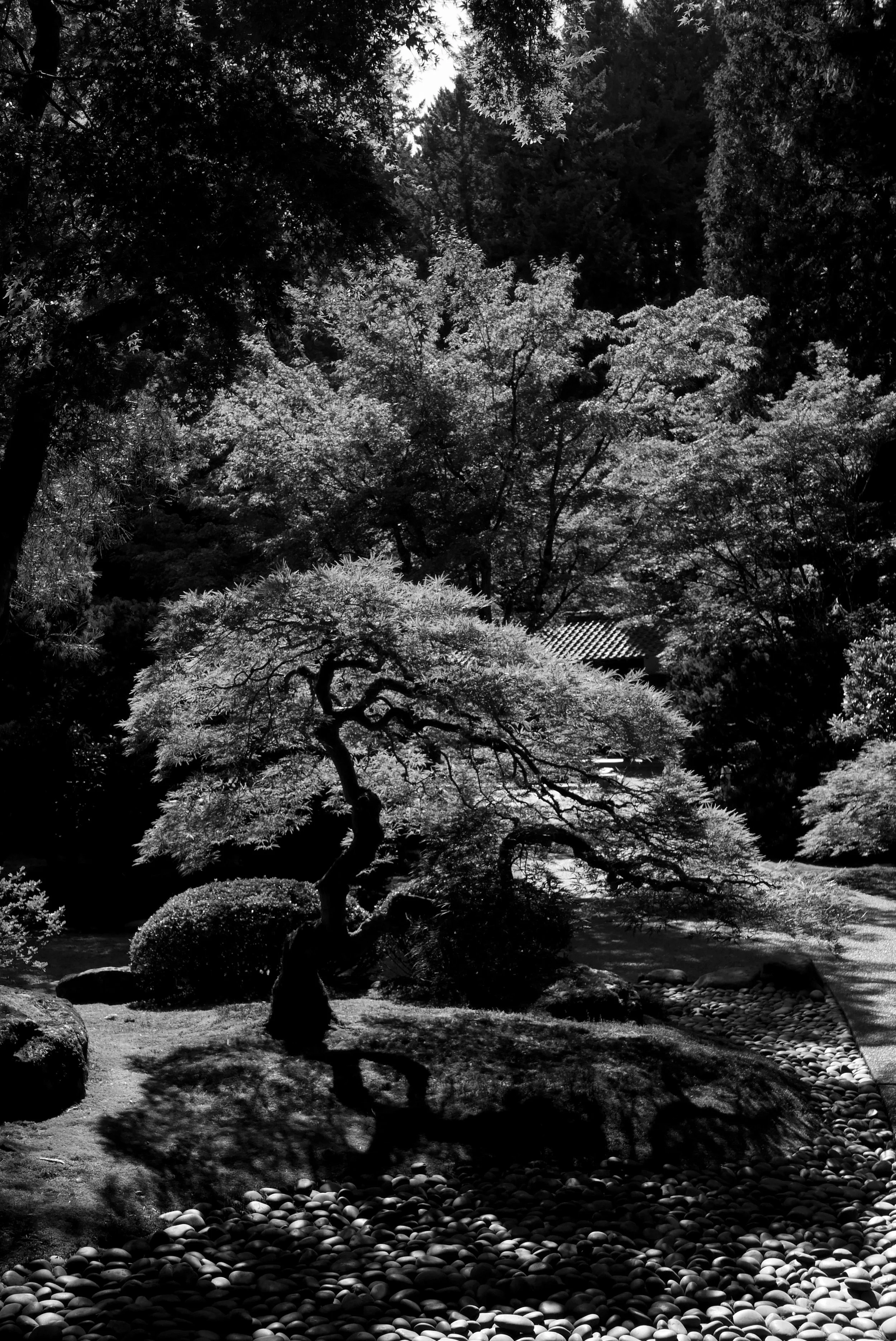 P1180910.jpeg
