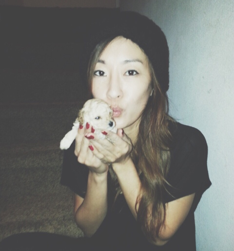 With my 1 month old toy poodle, Bibi