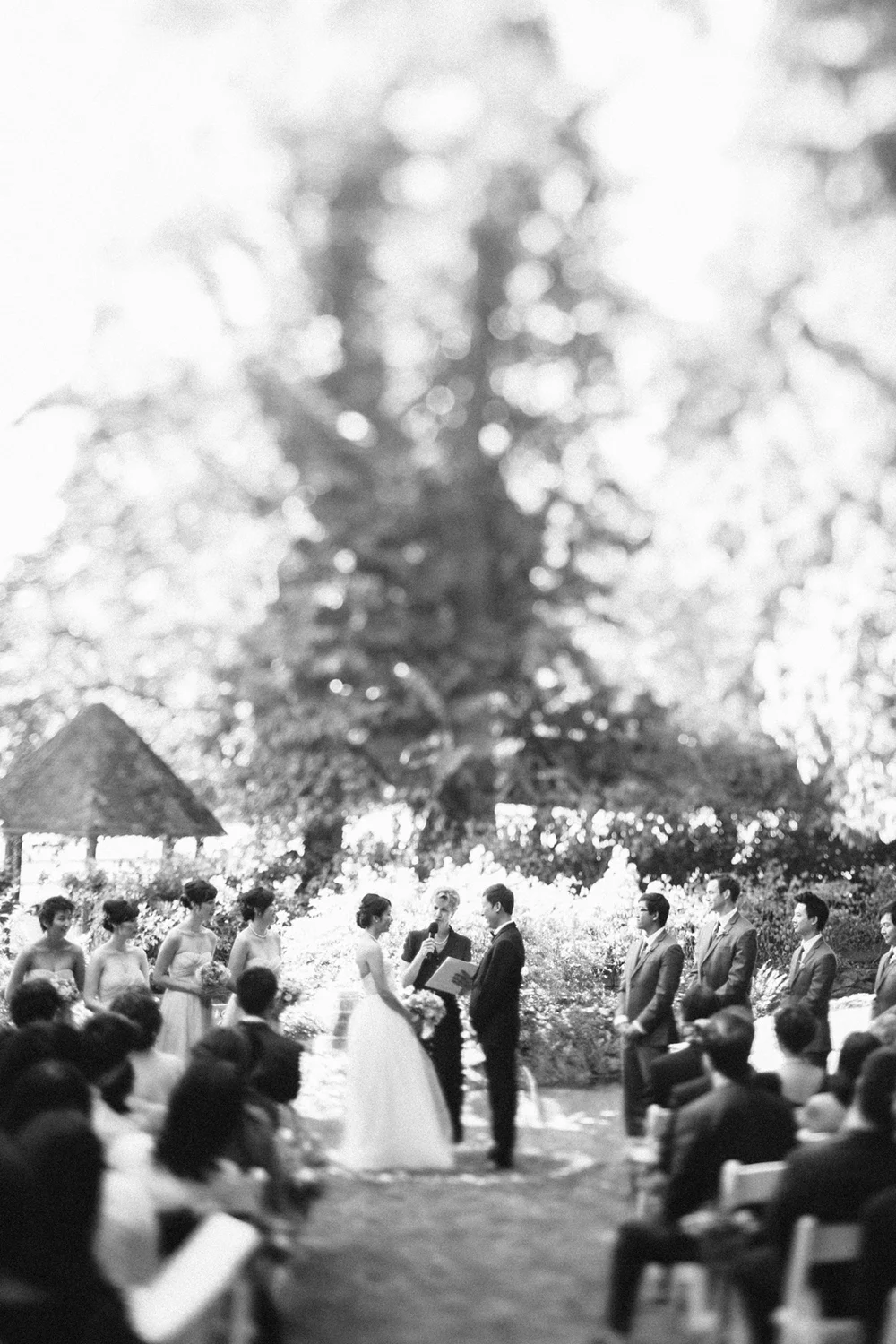 wedding-photographers-washington-state.jpg