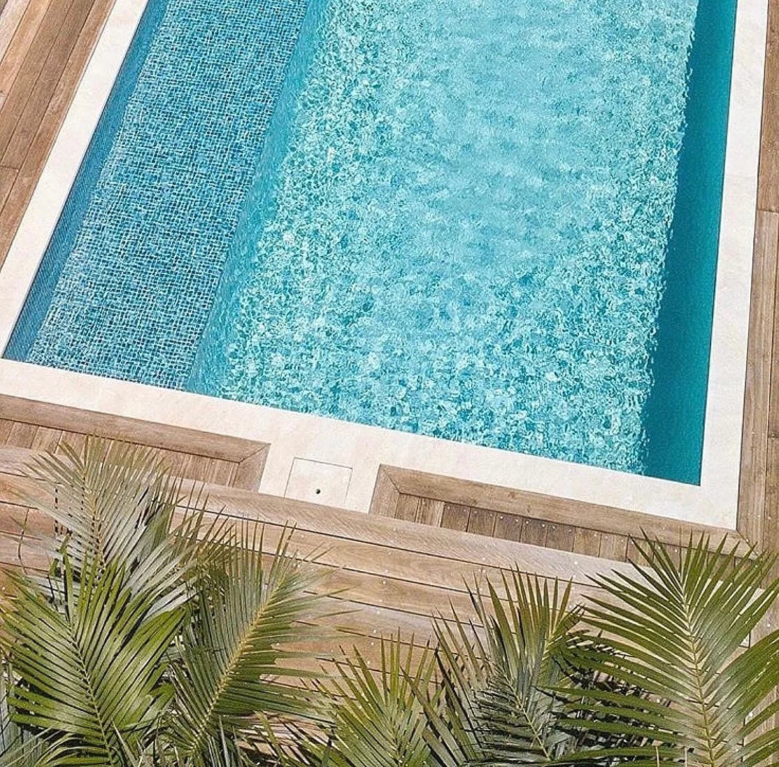 Paradise found by the pool &amp; Palms | Project South Coast 
.
.
.
.
.
.
.
#paradise #poolside #pooldays #summer #spring #home #house #vacations #buildingdreams #diy #trending #vibing #palmspings