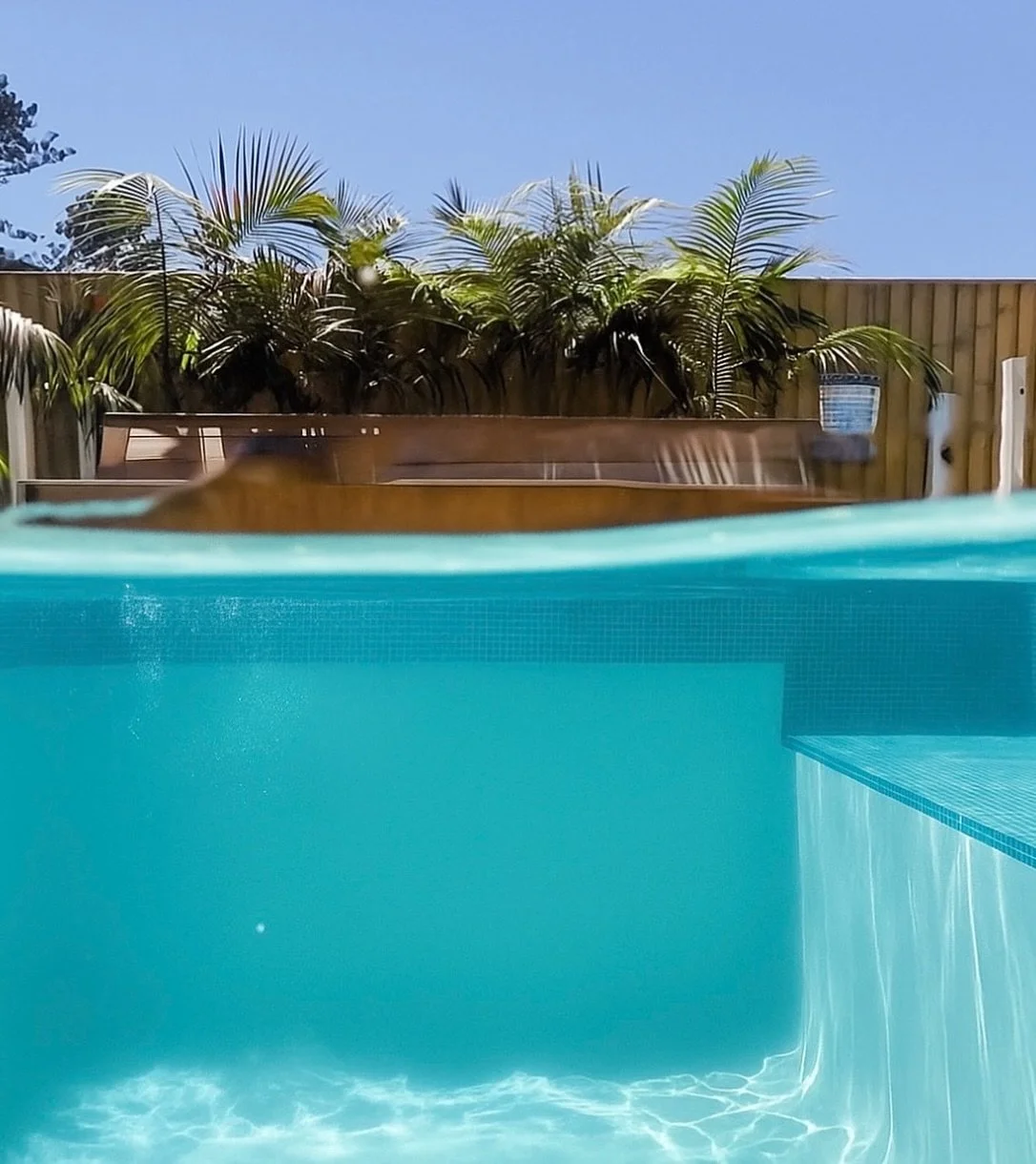 Beneath the surface, everything slows down 💦
Our South Coast Project #UnderwaterMoments #SouthCoastVibes #pool #summer