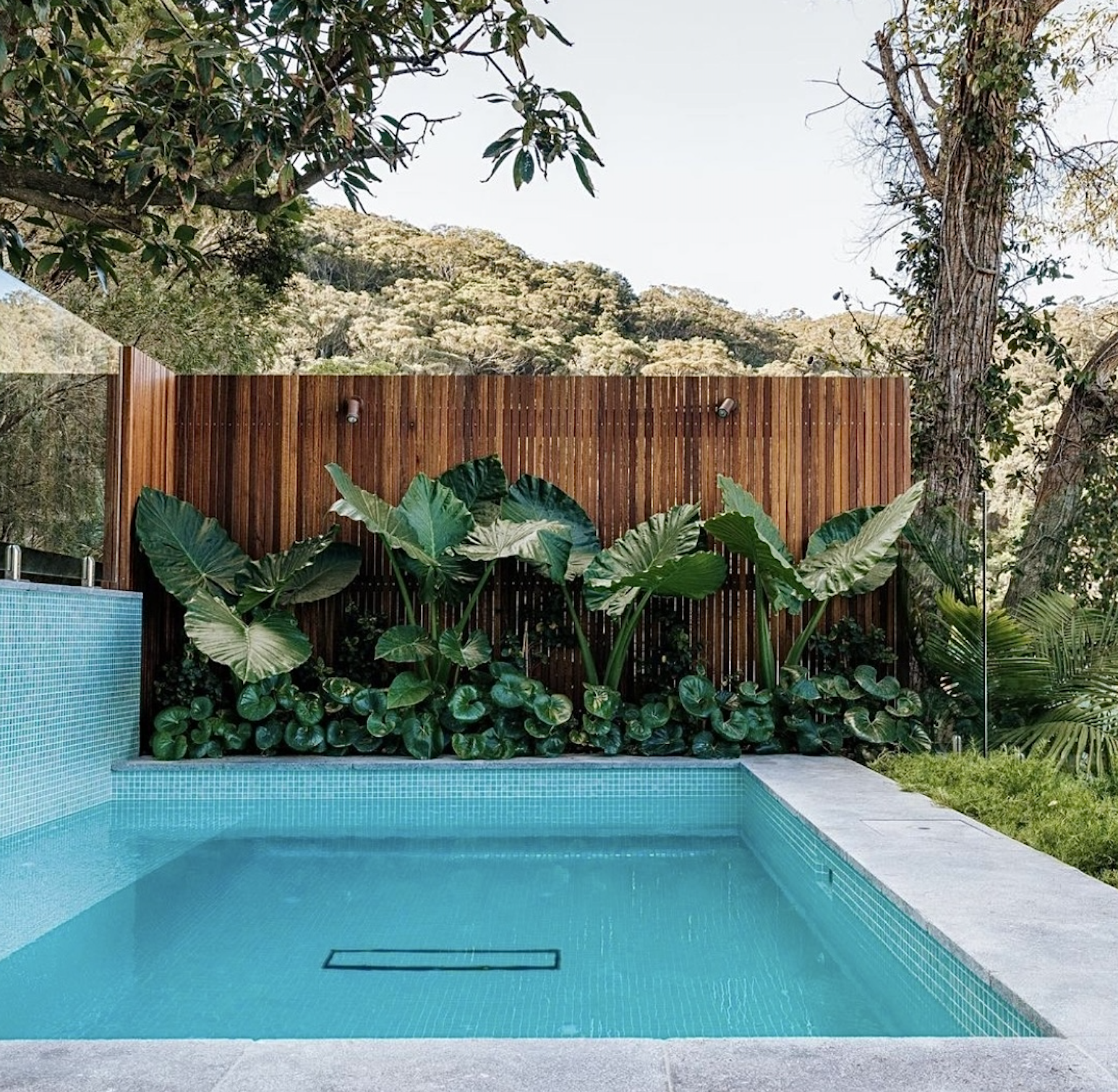 Screenshot 2026-01-30 at 3.45.16 pm.png