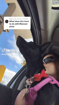 Download (15).gif
