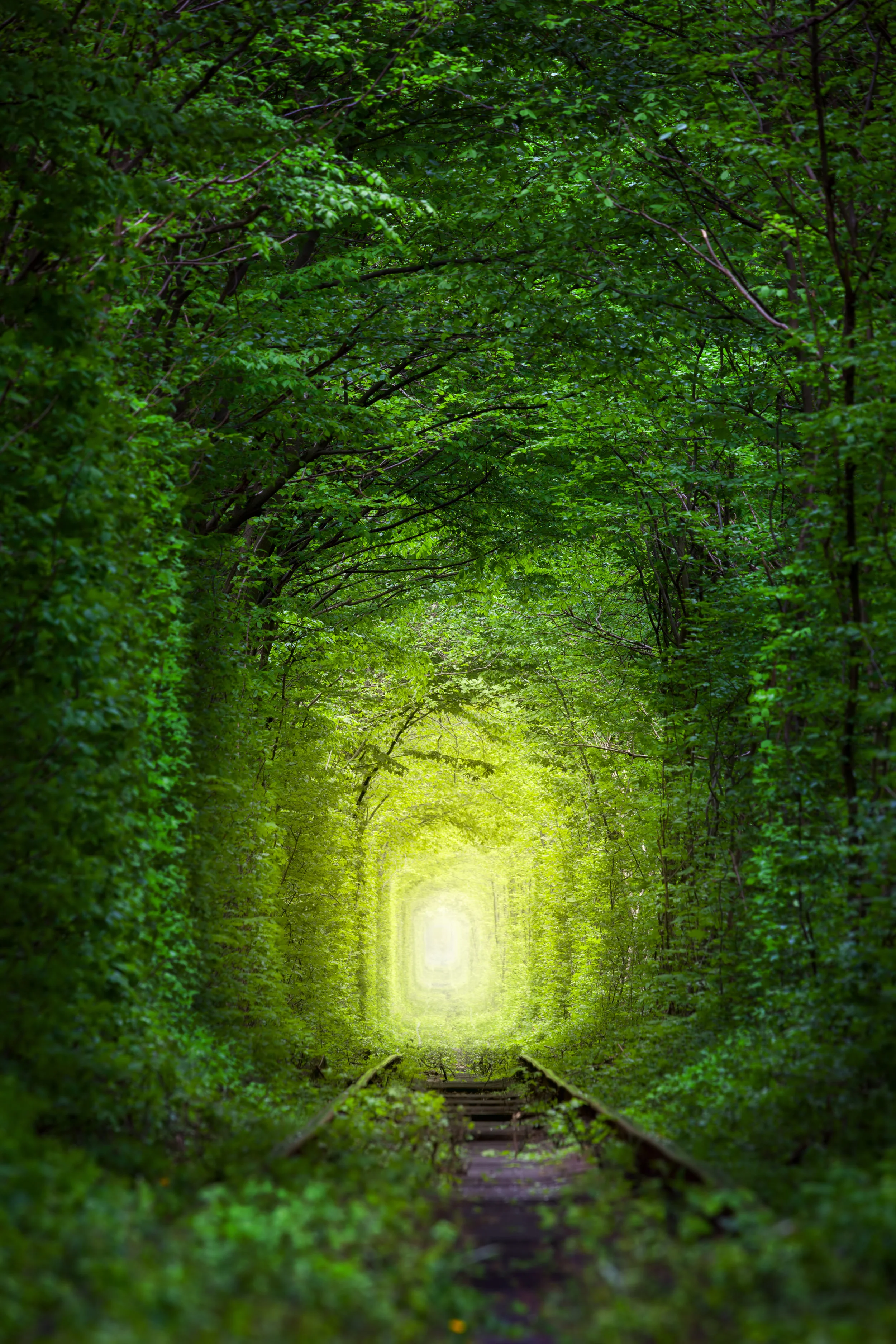 AdobeStock_109944244.jpeg