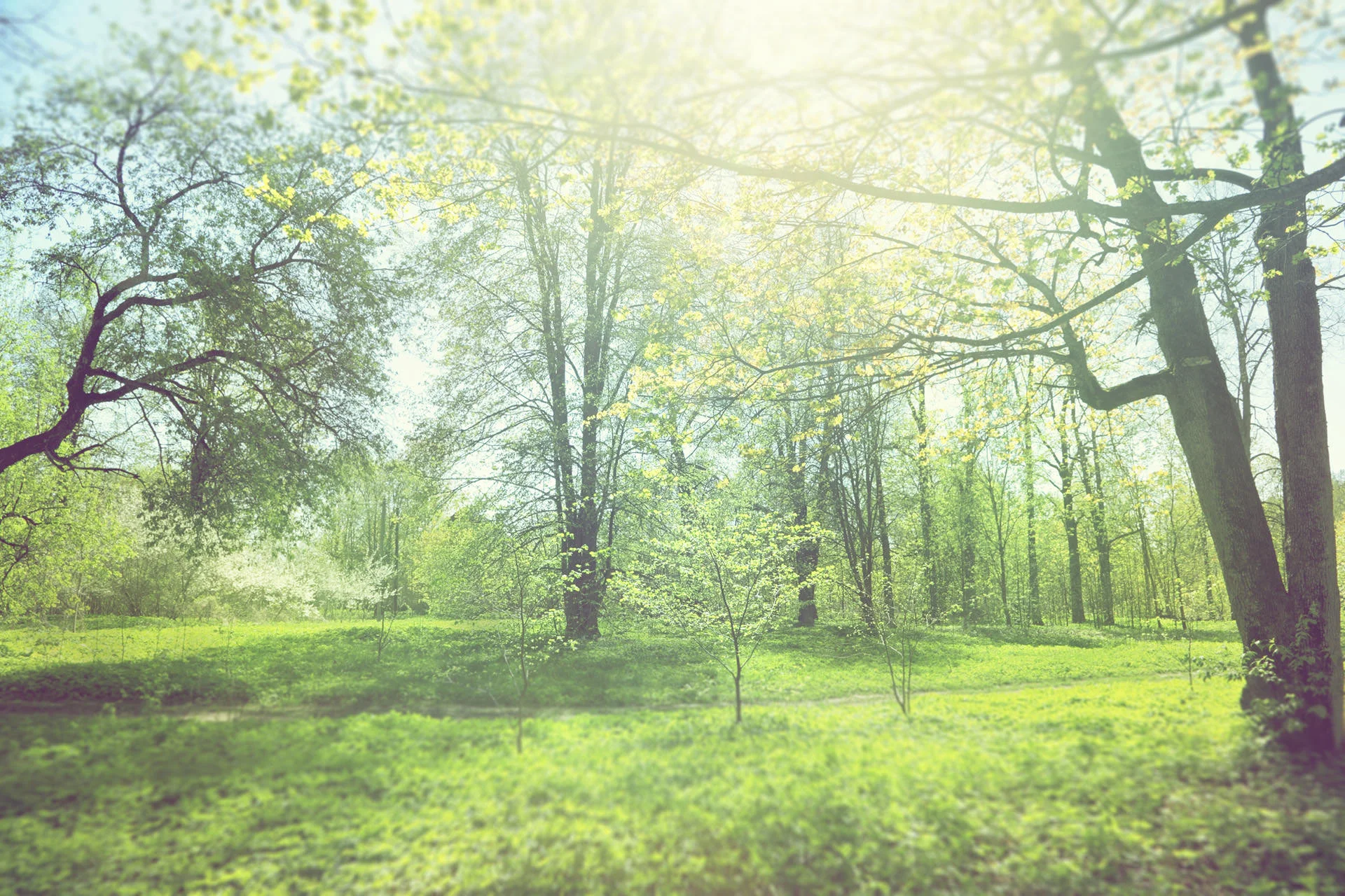 behance_bg2014-06-18.jpg