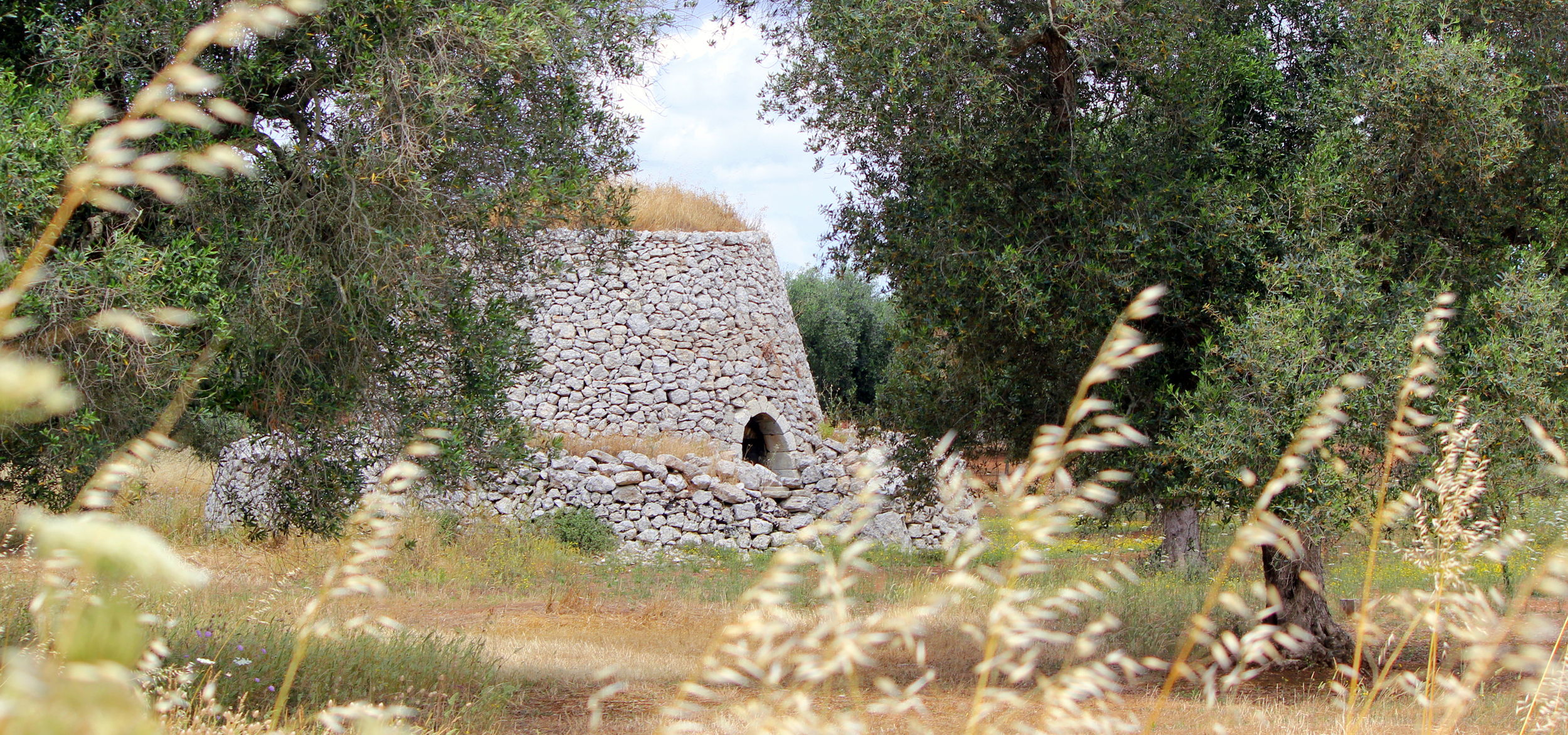   Astri di Puglia.   Impariamo a conoscerli. 