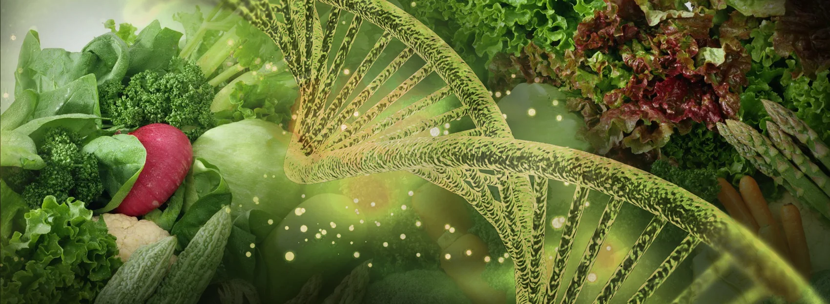 STORIA, EVOLUZIONE E GENOMA (Cosa è stato programmato a mangiare l'essere umano?)