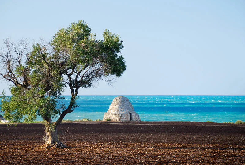 Il Progetto "MICExperience PUGLIA" a Milano