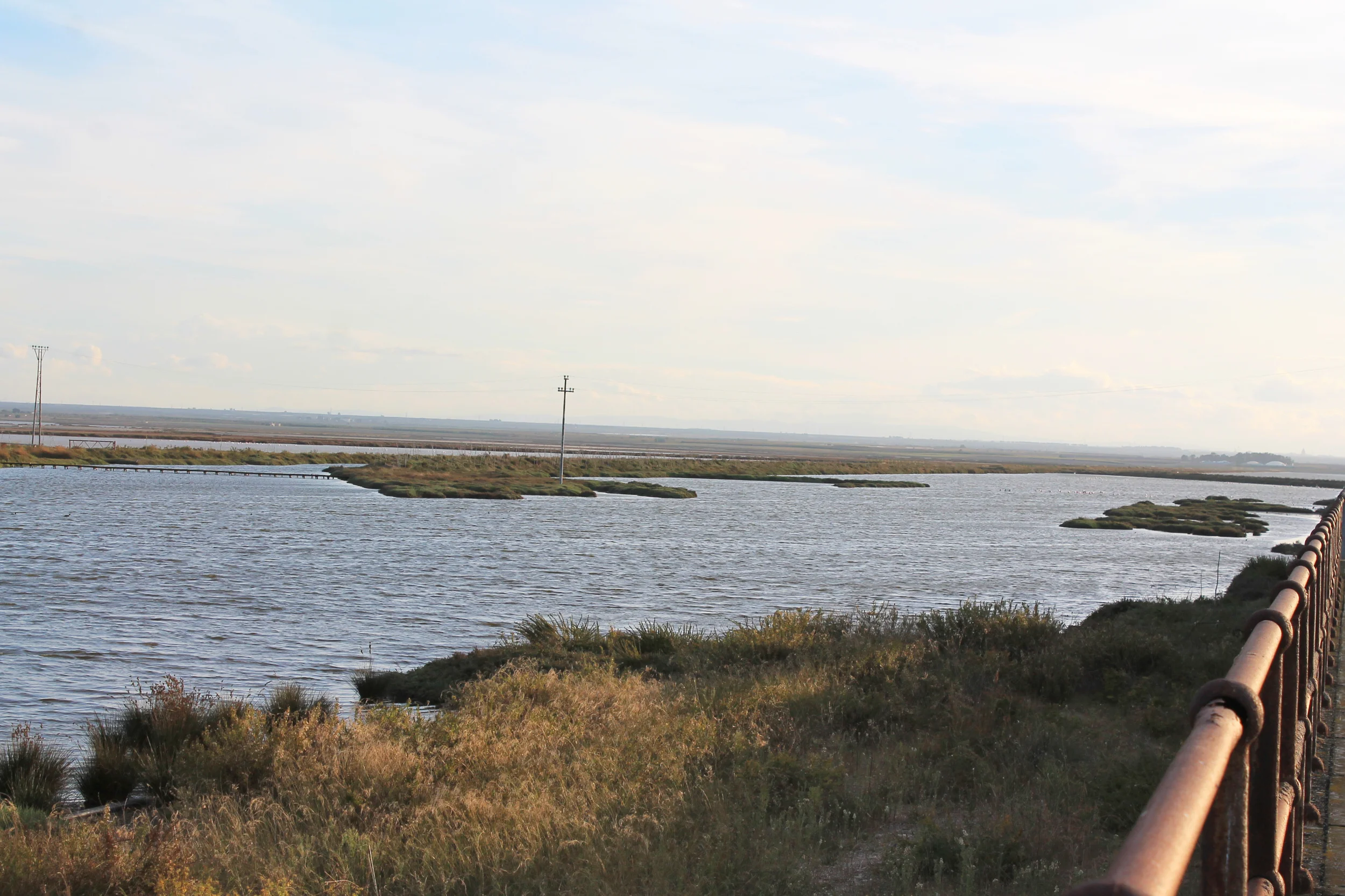 Saline di Margherita di Savoia (FG)