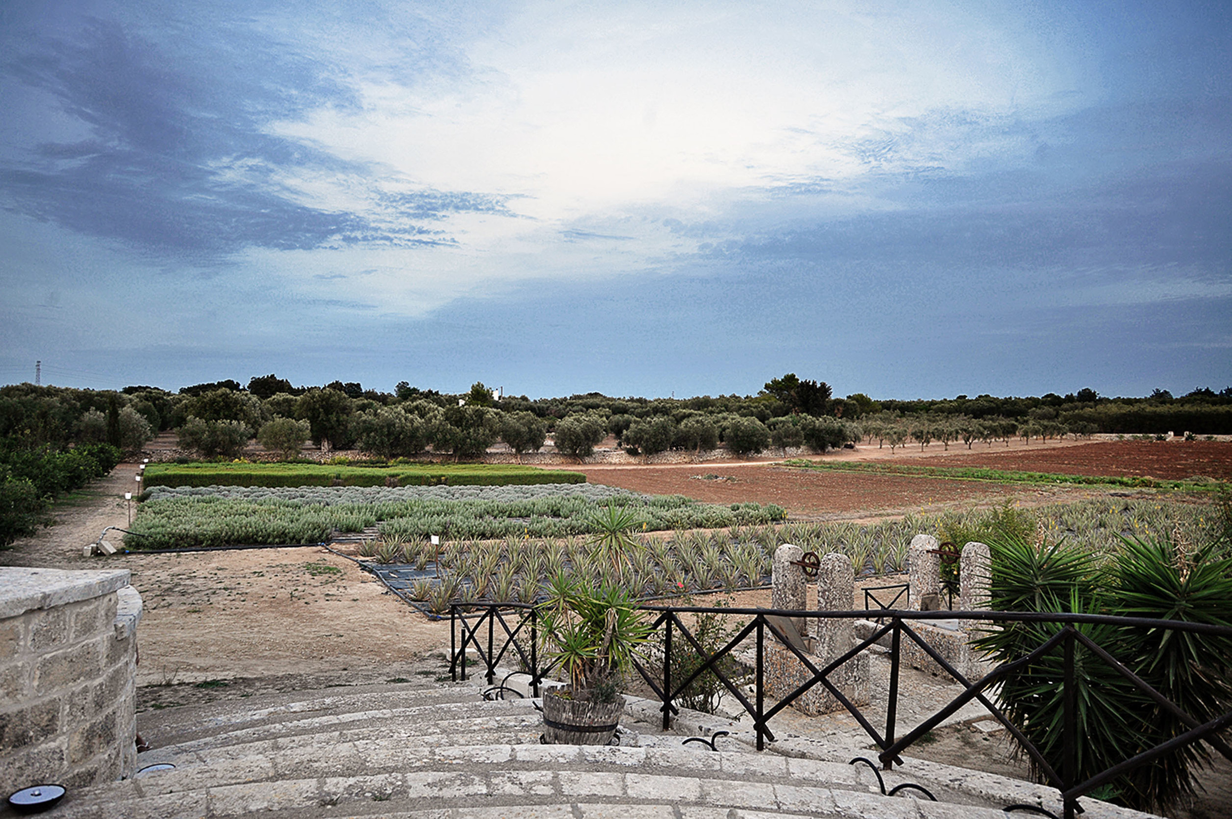 VIAGGIO DEL GUSTO TRA SAPERI E SAPORI