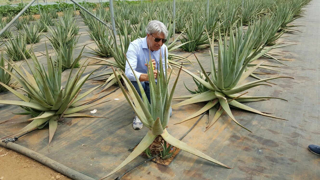 Domenico Scordari - Direttore di N&B Naturalis Bio Resort - Martano