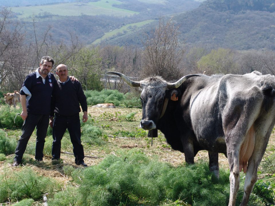  Visita al Tratturello Melfi Calitri 