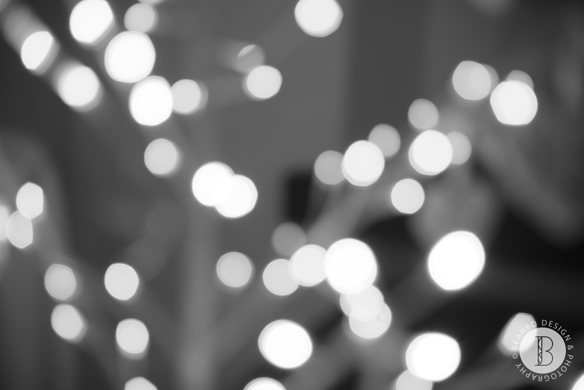 DSC_6529_ZOOWEDDING 2.jpg