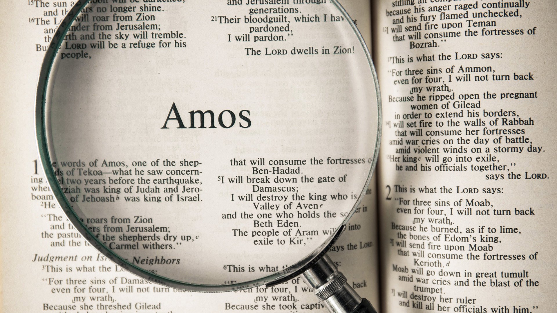 Di che cosa parla il libro di Amos? — Impatto Italia