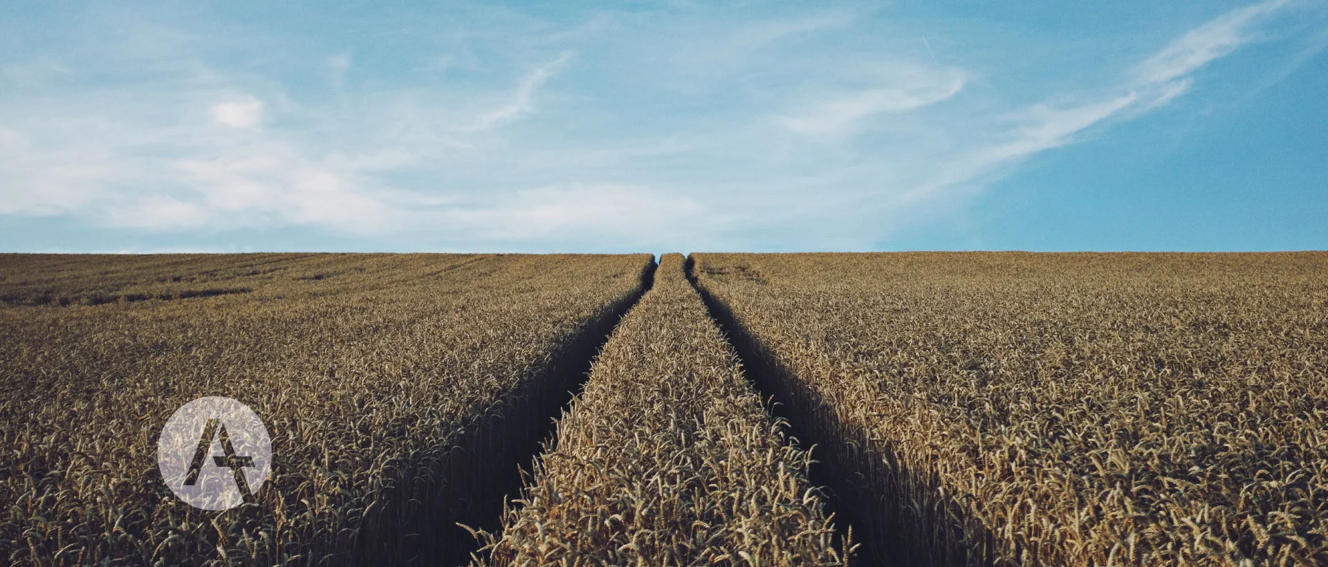 I fondatori di chiese sono agricoltori, non rockstar. 