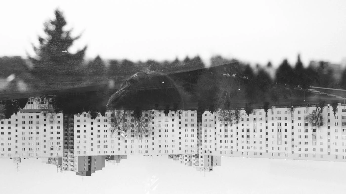 Riconosci chi non sei