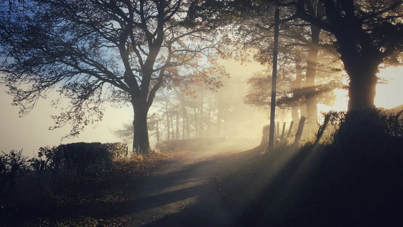 Le tue ferite non dicono chi sei 