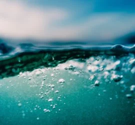 Pratica la carità, ricerca la credibilità: Come comportarsi davanti alla professione di fede di un bambino