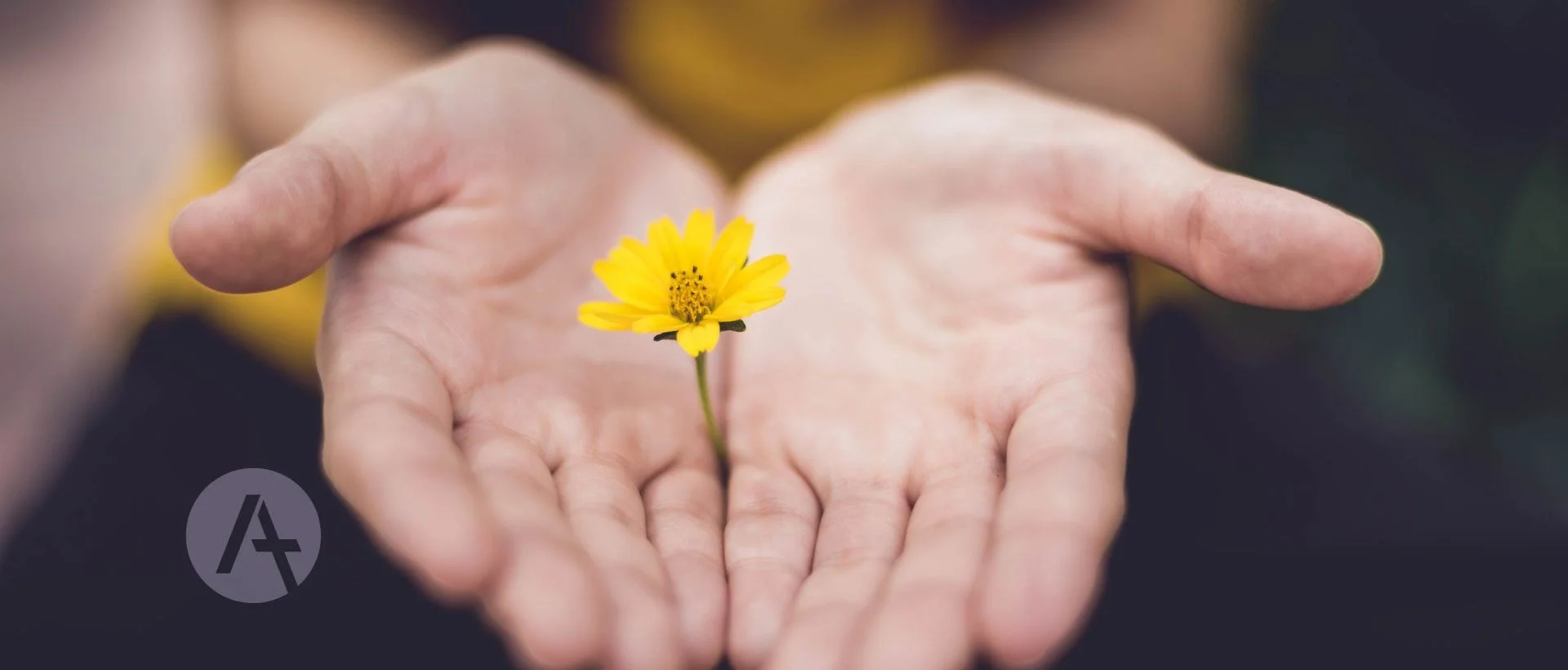 I fondatori di chiesa sono amministratori, non padroni