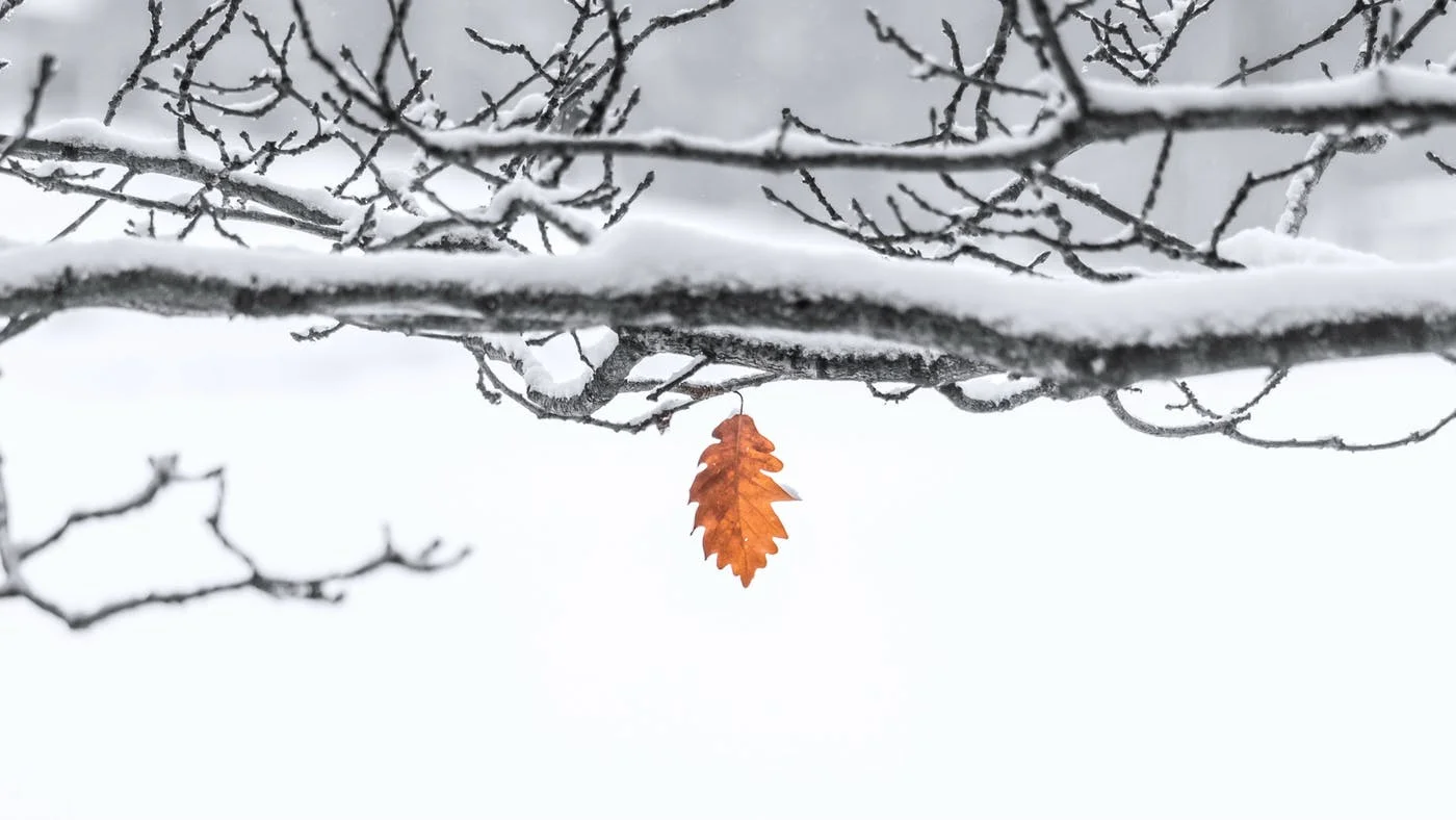 Quanto è imminente il ritorno di Gesù? Vivere negli ultimi giorni