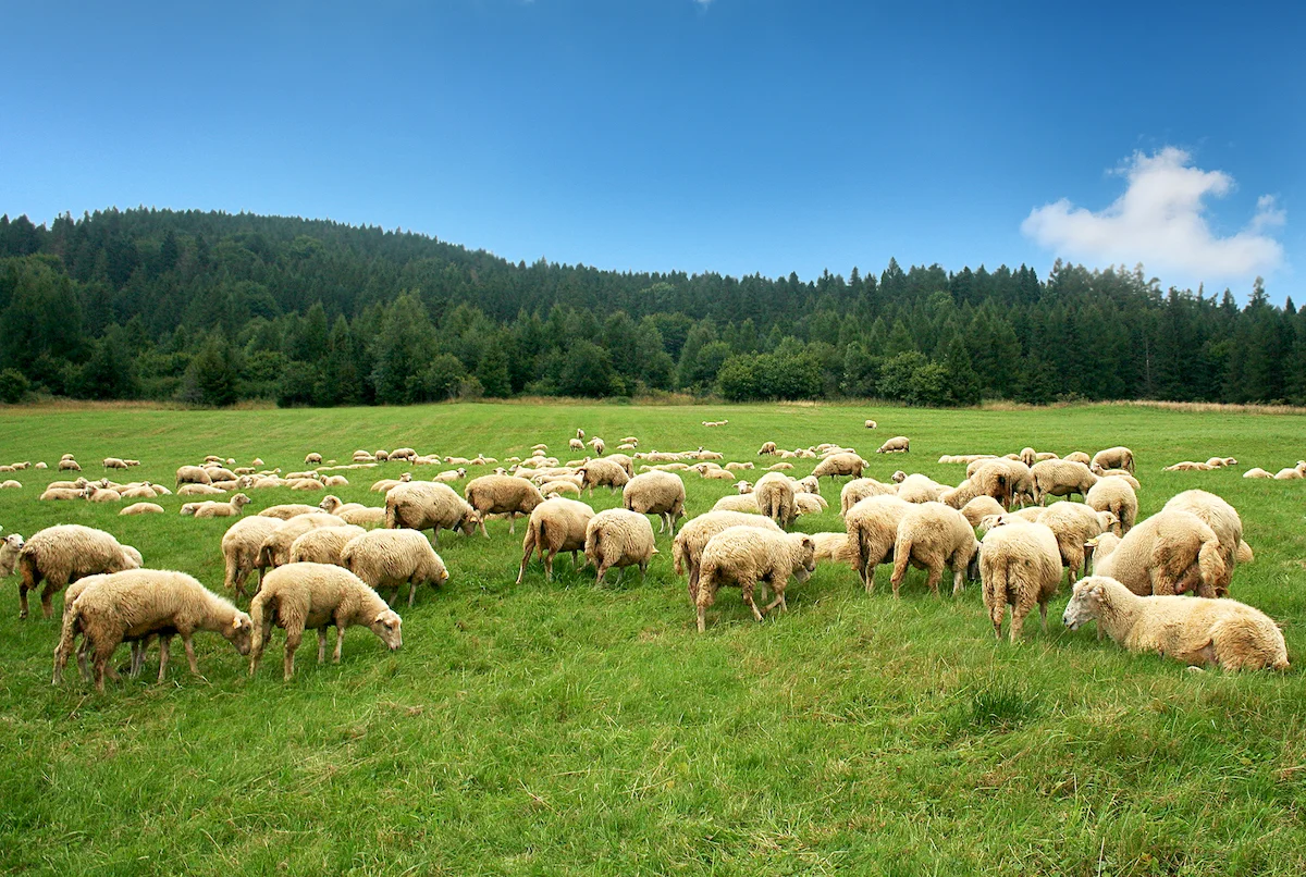 L’incontro più importante che forse manca 