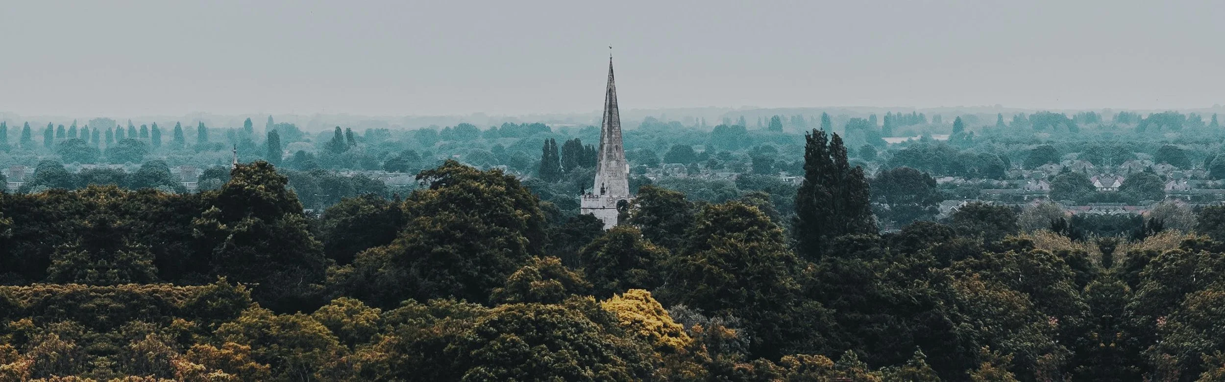 Il  Vero Genio Della Riforma