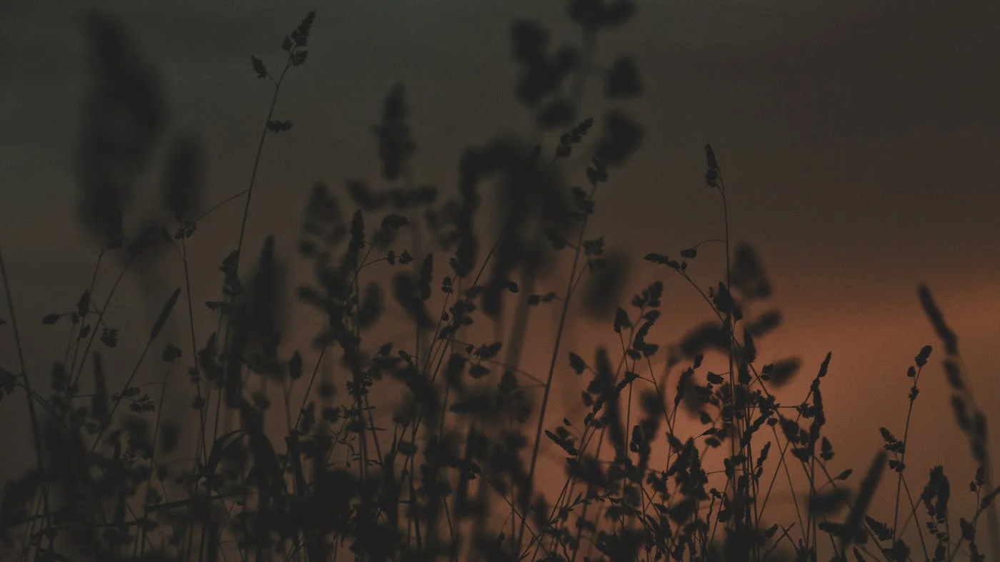 Fate ogni cosa senza mormorii