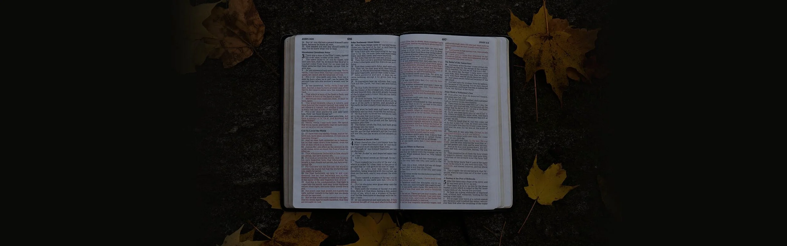 Come leggere meglio la Bibbia