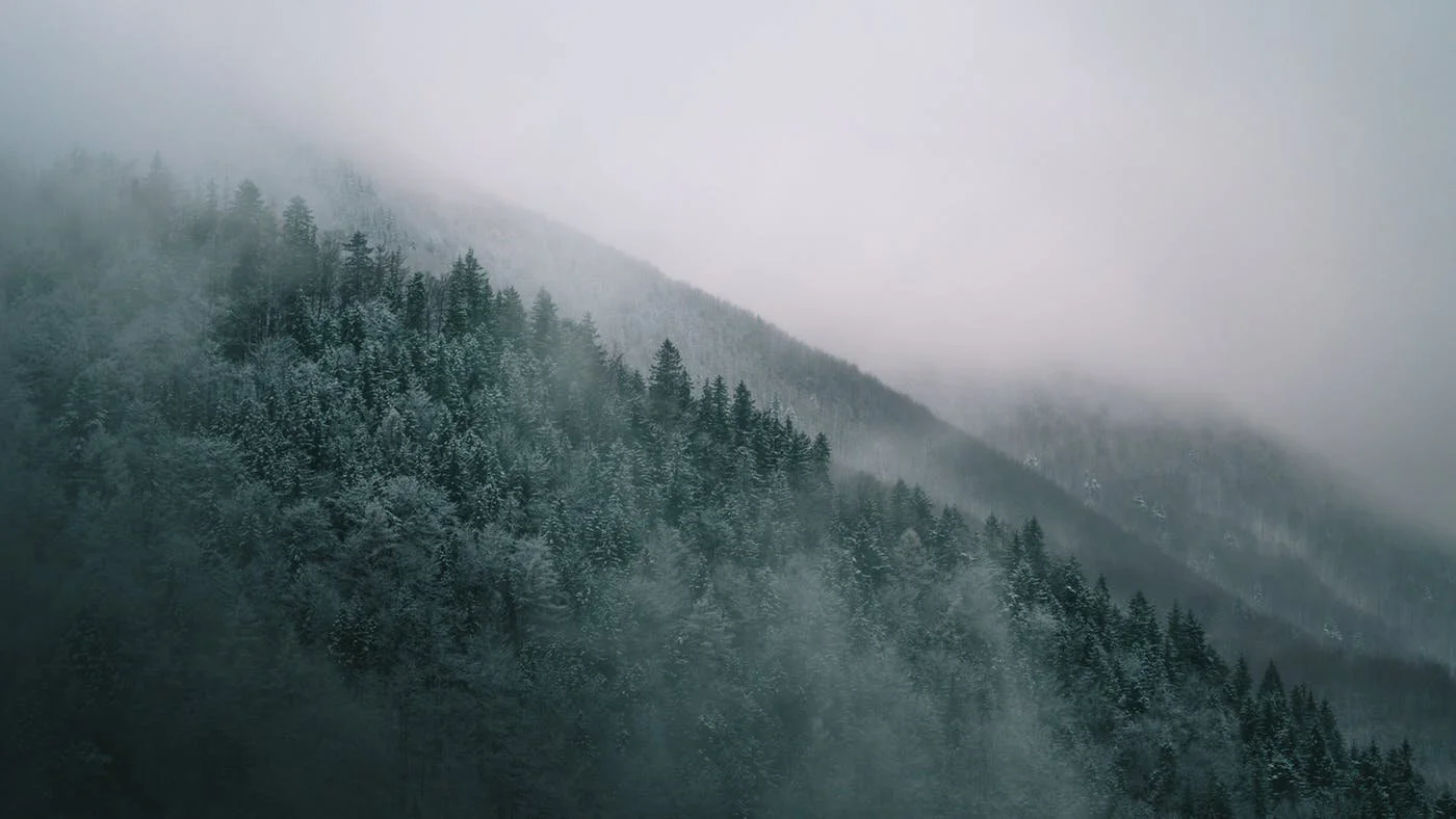 Mi abbandonerà adesso?