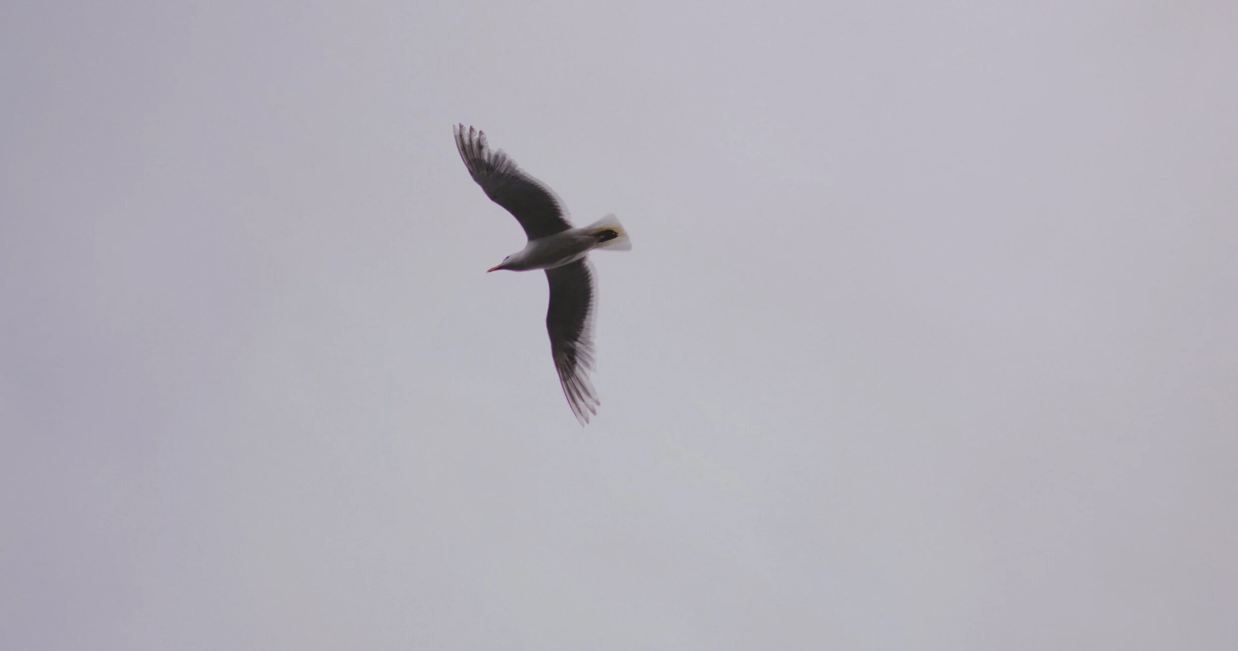 Perché abbiamo bisogno di un cambio di paradigma sul denaro