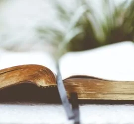 Coltivare l’umiltà