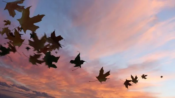 Che c’è di meglio di avere Gesù accanto a te? 