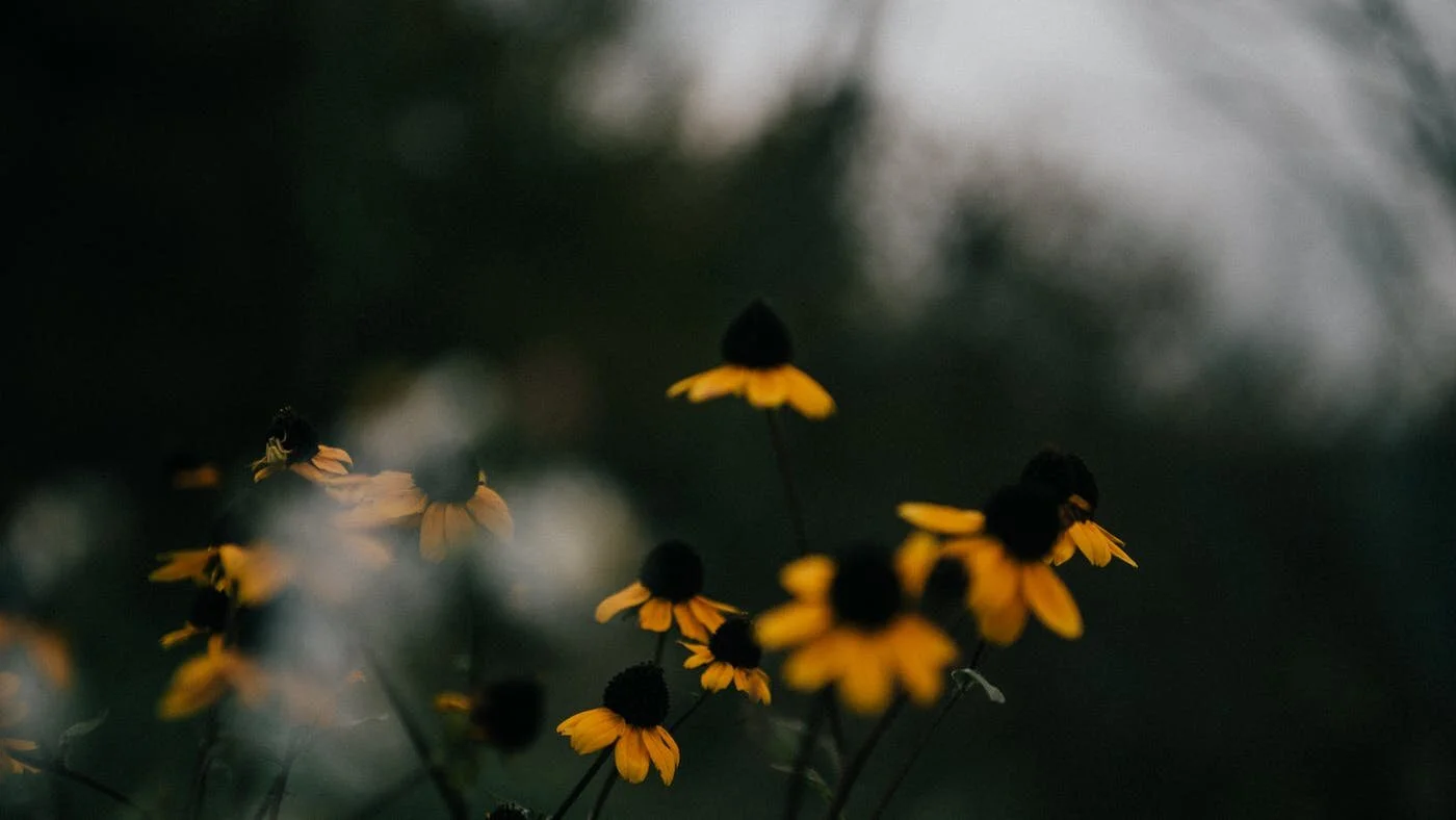 Ristora la tua anima con l’umiltà