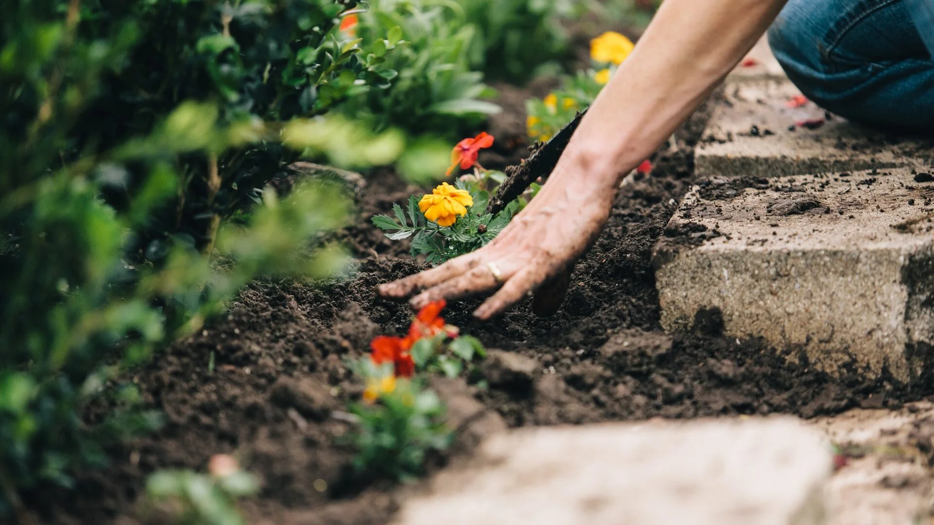 Fare giardinaggio per tornare all’Eden