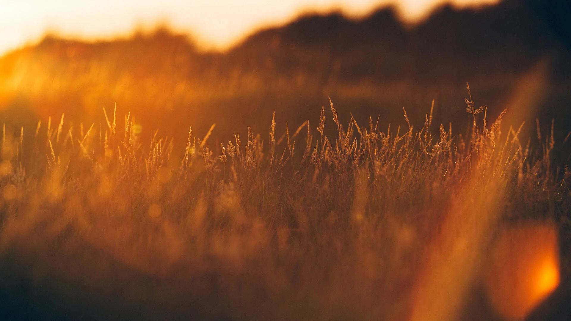 Perché i cristiani dovrebbero essere sabbatariani